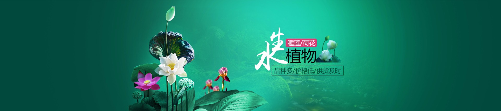 跟单采购员整理的花卉购买价格清单与采购明细参考
